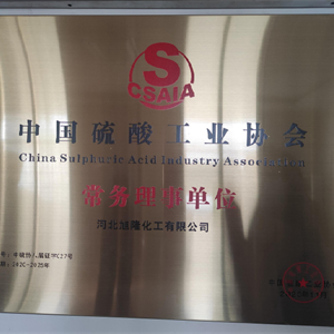 中國硫酸工業協會常務理事單位
